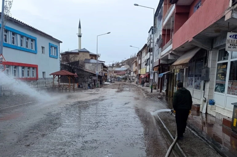 Posof’ta bahar temizliği 