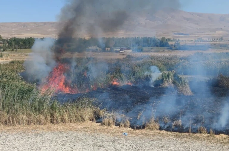 Prof. Dr. Lokman Aslan: "Sulak alanlar tabiatın rahimleridir" 