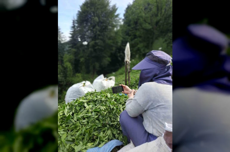 Rize’de çay bahçesinde milli maç heyecanı