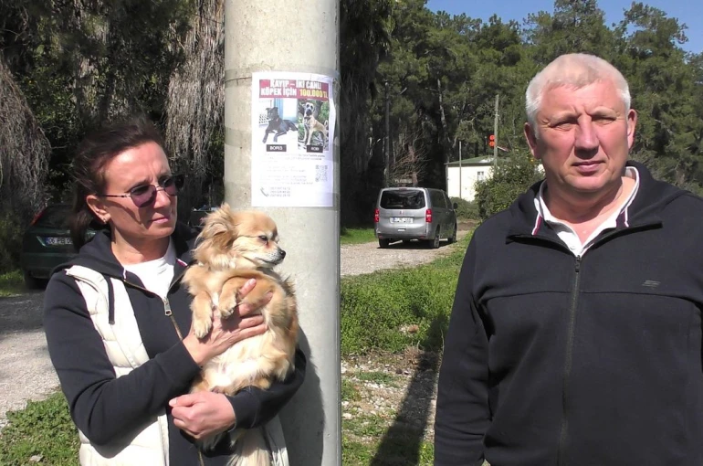 Rus sahipleri, kaybolan köpeklerini sokak sokak arıyor: Canlı bulana 100 bin, ölü bulana 10 bin ödül