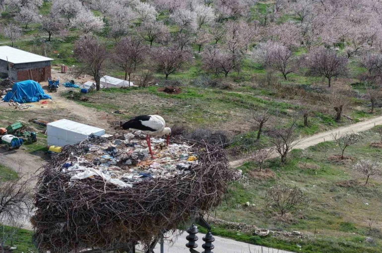 Sadık misafir leylek 10 yıldır yolunu şaşırmıyor