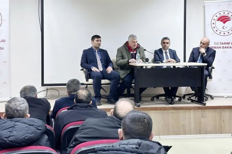 Sağlıklı anne sağlıklı buzağı 