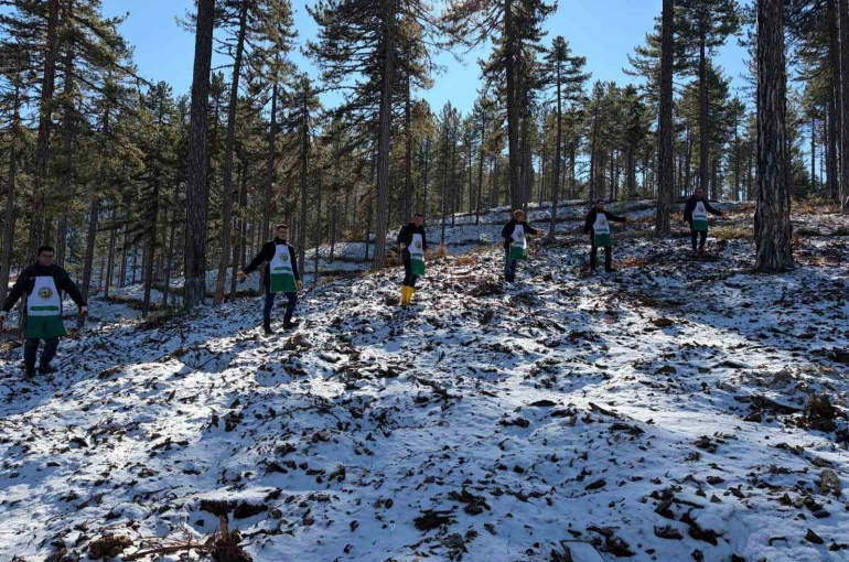 Saimbeyli’de orman geleceğe hazırlanıyor 