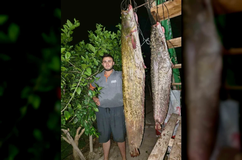 Sakarya Nehri’nden 34 kiloluk dev yayın çıktı