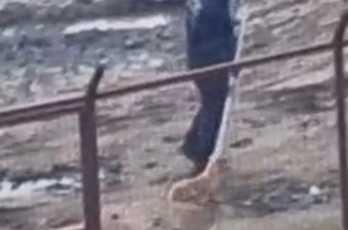 Sakarya Valiliğinden iki ilçedeki barınak görüntülerine ilişkin açıklama