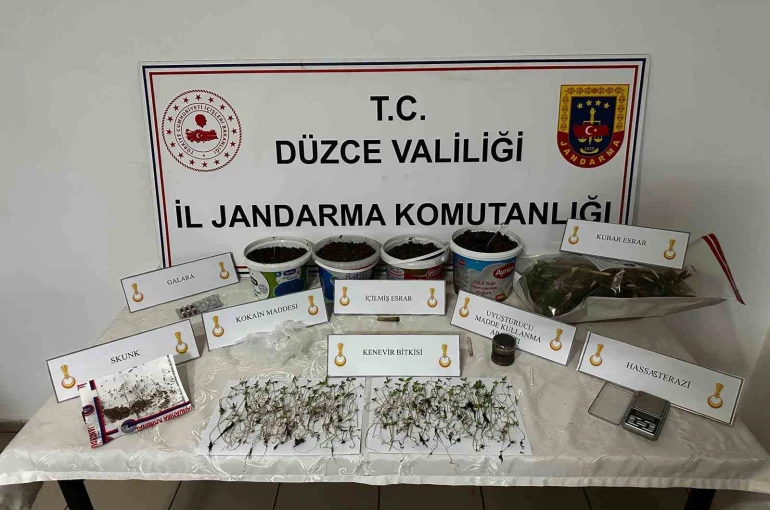 Saksıda kenevir yetiştiren şahıs gözaltına alındı 