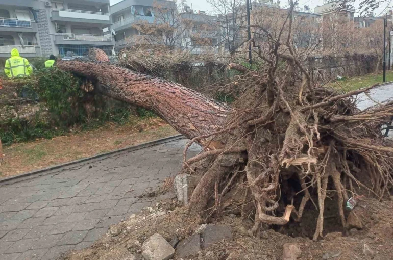 Salihli’yi fırtına vurdu, ağaçlar devrildi, çatılar uçtu 