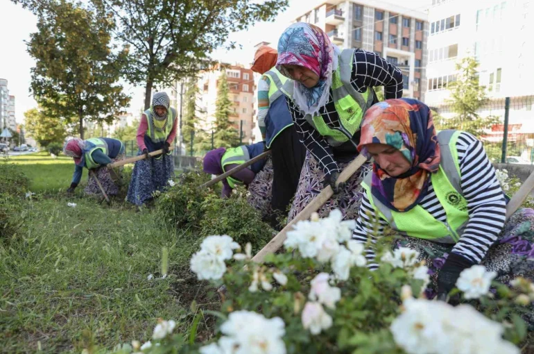 Samsun, kadınların emeğiyle güzelleşiyor 
