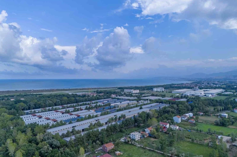 Samsun’a yeni fakülte: Yapay Zeka ve Veri Mühendisliği Bölümü Karadeniz’de ilk