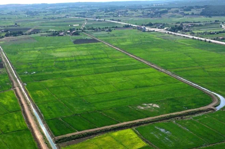 Samsun’da bozulan tarım arazileri cezasız kalmadı: 48 işlem uygulandı 
