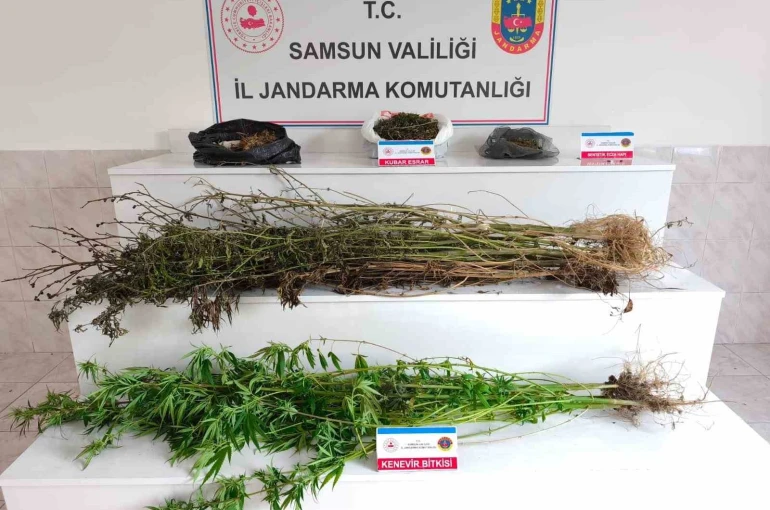 Samsun’da jandarma 2 kilo 355 gram esrar ele geçirdi: 2 gözaltı