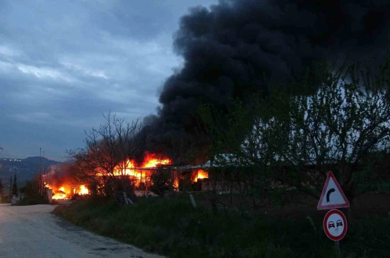 Samsun’da muz deposunda yangın: Ekipler müdahale ediyor 