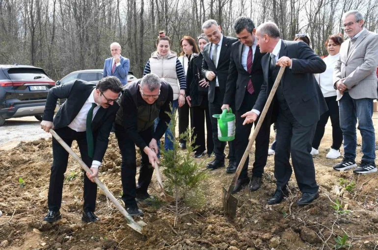Samsun’da ormanlar ağaçlandırılıyor 