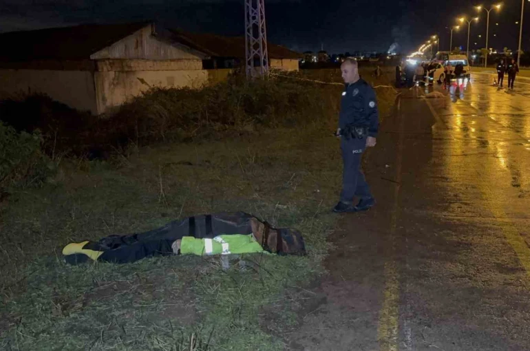 Samsun’da otomobilin çarptığı çoban hayatını kaybetti 