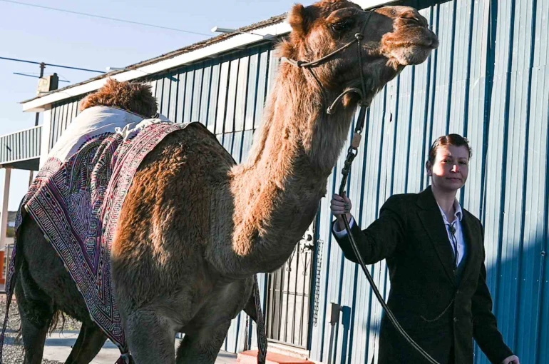 Sanatçı Mertcan Türkoğlu, Hi Jolly’nin Arizona’daki anıt mezarı başında anıldı