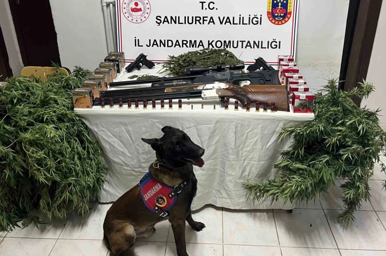 Şanlıurfa’da 1 kilo 508 gram kubar esrar ele geçirildi: 3 gözaltı 