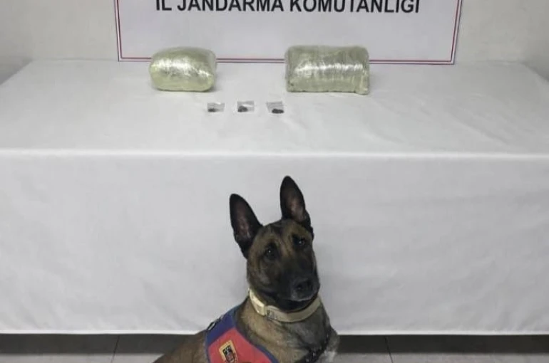 Şanlıurfa’da 2 kilo kubar esrar ele geçirildi: 1 gözaltı 