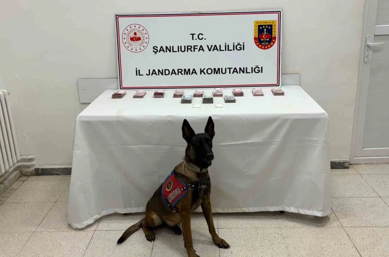 Şanlıurfa’da 210 bin TL ile uyuşturucu madde ele geçirildi 