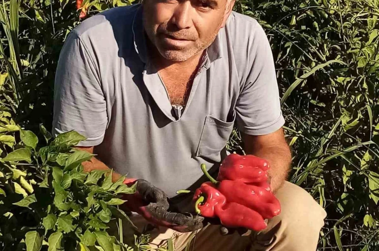 Şanlıurfa’da asansör faciası: Boşluğa düşen servis şoförü hayatını kaybetti 