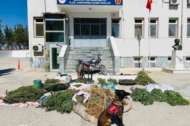 Şanlıurfa’da uyuşturucu operasyonu: 3 gözaltı 