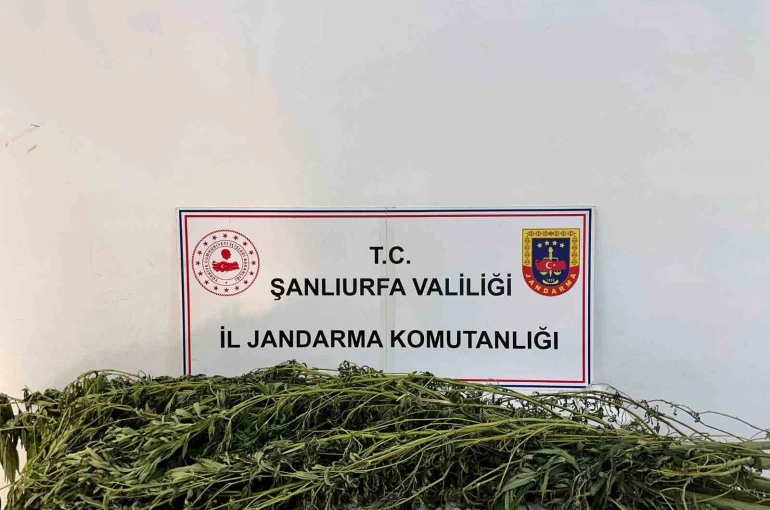 Şanlıurfa’da uyuşturucu operasyonu: 42 gözaltı 