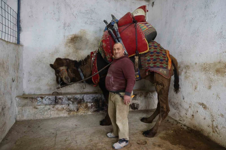 Şap karantinası nedeniyle iptal edilen deve güreşleri sektörde sıkıntıya neden oldu 