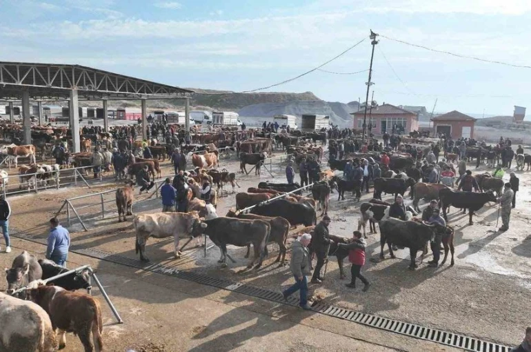 Şap tehlikesi nedeniyle kapatılmıştı, Sorgun Hayvan Pazarı 5 ay sonra yeniden açıldı 