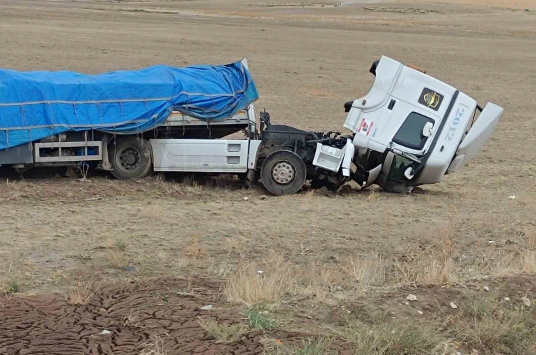 Şarampole yuvarlandı, burnu bile kanamadan kurtuldu