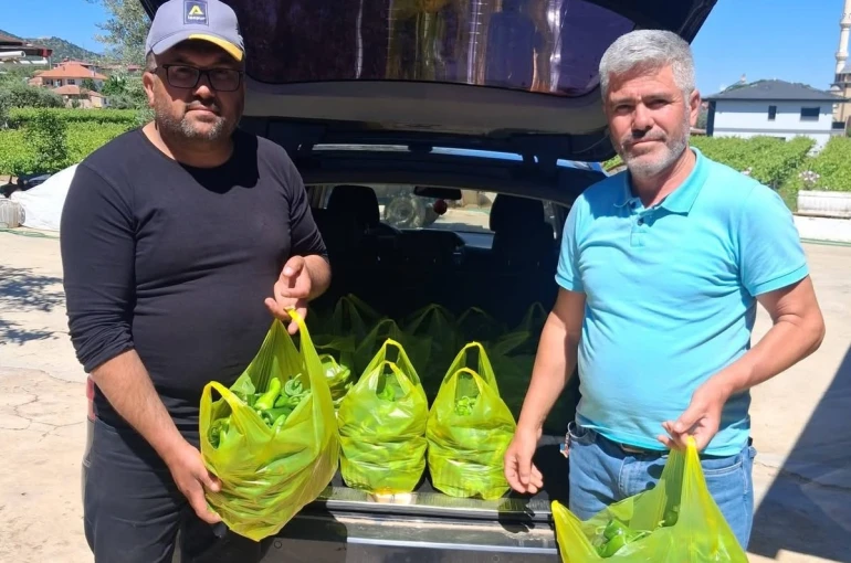 Sarıgöl’ün meşhur Emcelli biberi gurbetçilerin gözdesi oldu