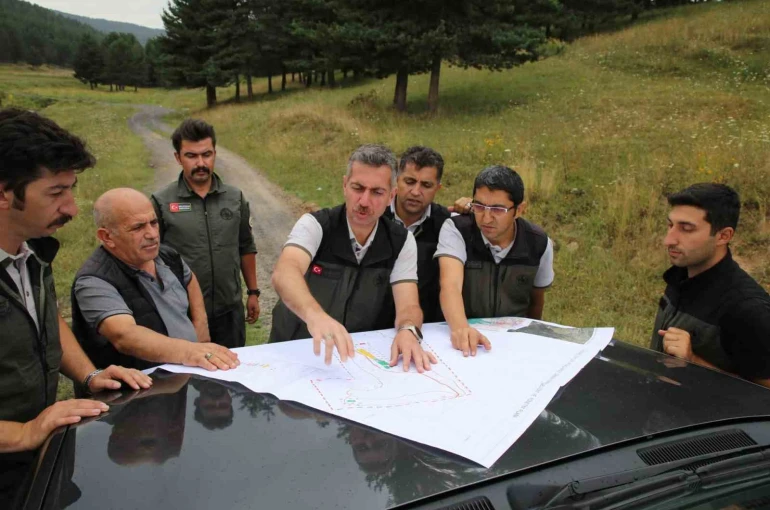 Sarıkamış’ta orman çalışmaları masaya yatırıldı: Bölge Müdürü Karakurt’tan sahalarda inceleme