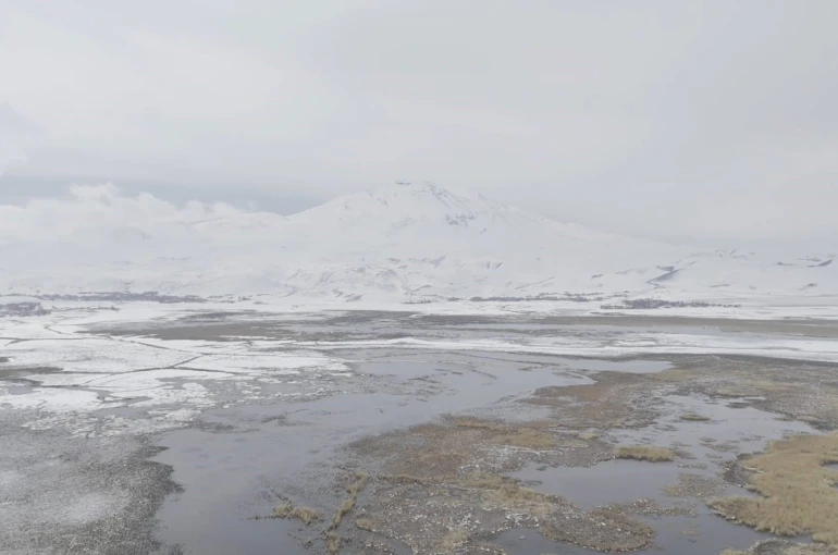 Sarısu sazlıkları ile Süphan Dağı’nın karlı zirvesi göz kamaştırıyor 