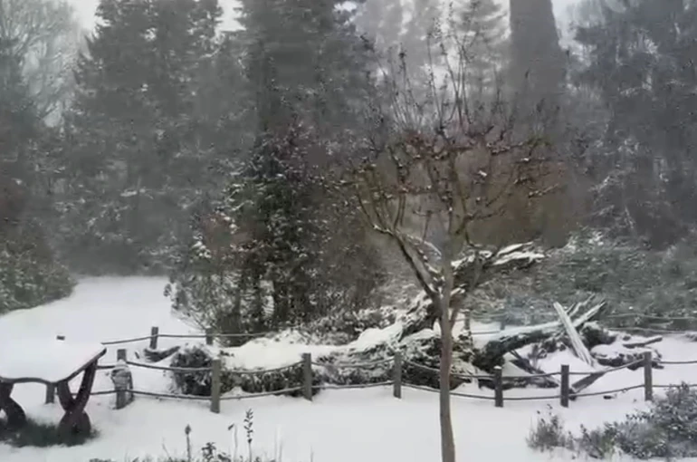 Sarıyer’in yüksek kesimleri karla kaplandı 