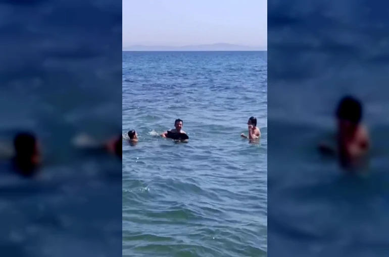 Şarköy’de denize girenlerin arasına yavru yunus daldı: Eğlenceli anlar kamerada
