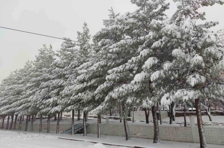 Sason’da yoğun kar yağışı hayatı olumsuz etkiliyor