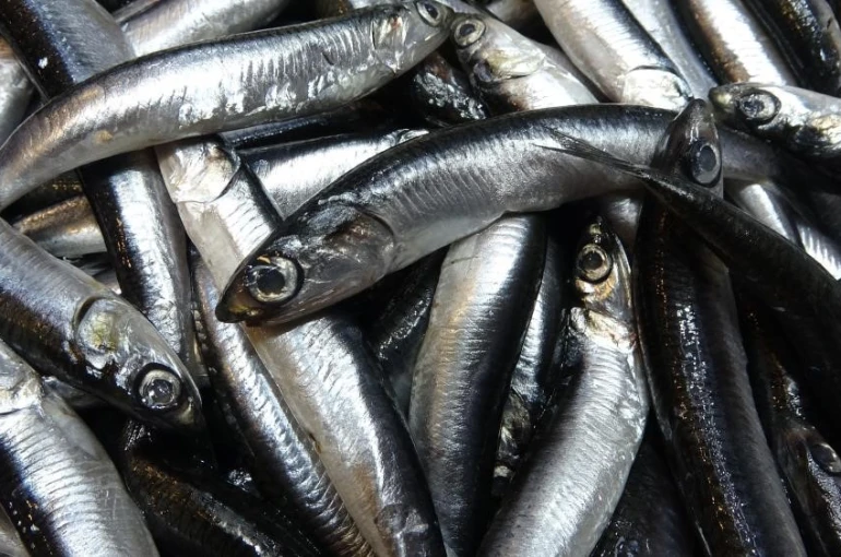 Savaş halindeki ülke ihracatta ilk sırayı aldı 