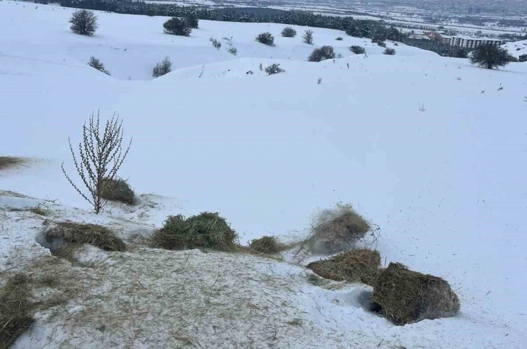 SCÜ, Yabani hayvanlar için doğaya yem bıraktı 