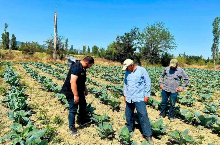 Sebze üretim alanlarında kontroller sürüyor