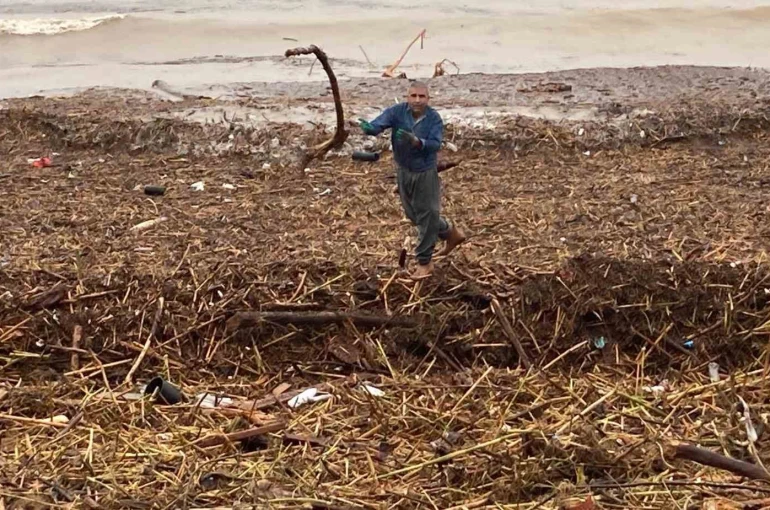Sel sonrası deniz kahverengi oldu, sahiller odun doldu