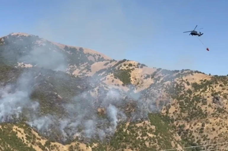 Şemdinli’deki orman yangınına hava destekli müdahale 