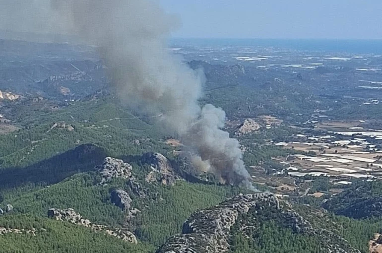 Serik’te ormanlık alanda yangın 