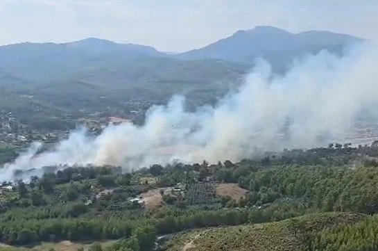 Seydikemer’de orman yangını 