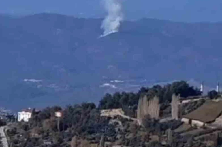 Seydikemer’de orman yangını 