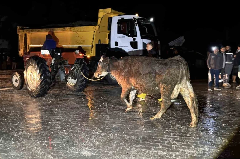 Seydikemer’de su baskını: Evler tahliye edildi 