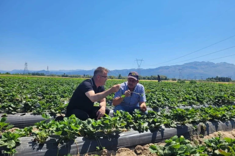 Seydişehir Çileği Tescillendi