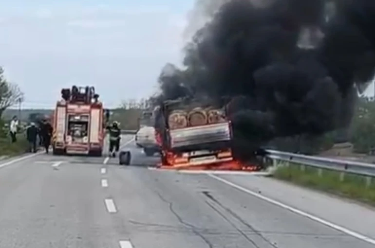 Seyir halindeki tomruk yüklü kamyon alevlere teslim oldu 