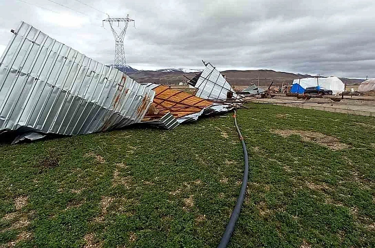 Şiddetli rüzgar ahırın çatısını uçurdu 