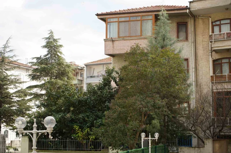 Şiddetli rüzgar hayatı olumsuz etkiledi, bazı ağaçlar devrildi 