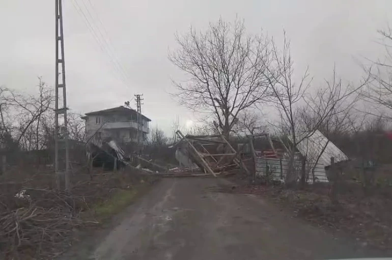 Şiddetli rüzgar ortalığı savaş alanına çevirdi: Yıkılan ağaçlar ve baraka yolu kapattı 