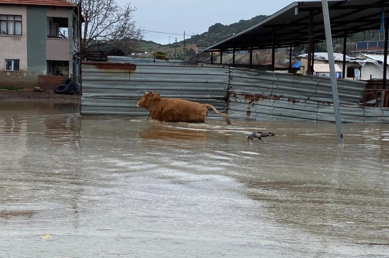 Şiddetli yağışlar Kula’da taşkınlara yol açtı