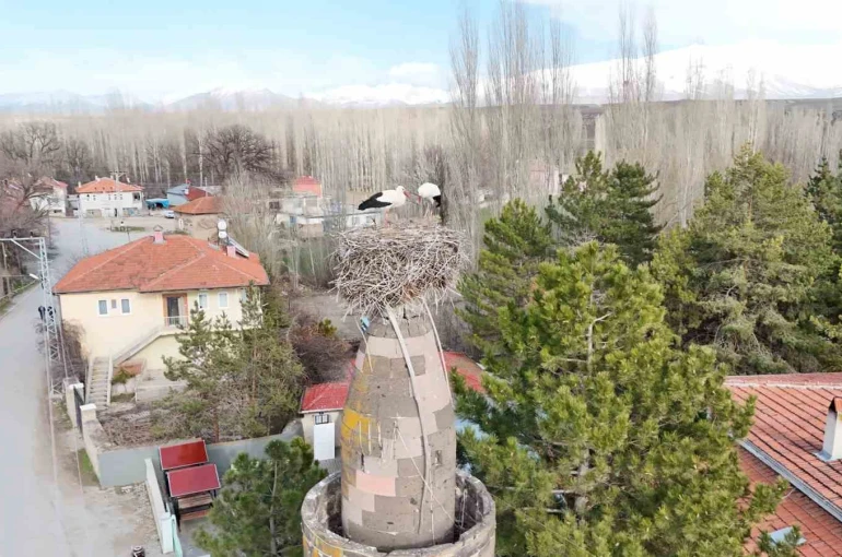 Şıhbarak mahallesinde baharın müjdecisi leylekler yuvalarına döndü 